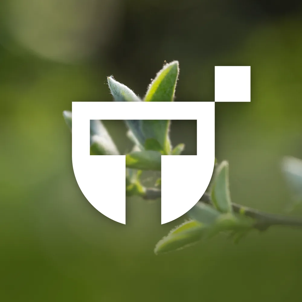 Моя Территория