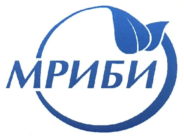 Мурманский региональный инновационный бизнес-инкубатор — канал в мессенджере MAX