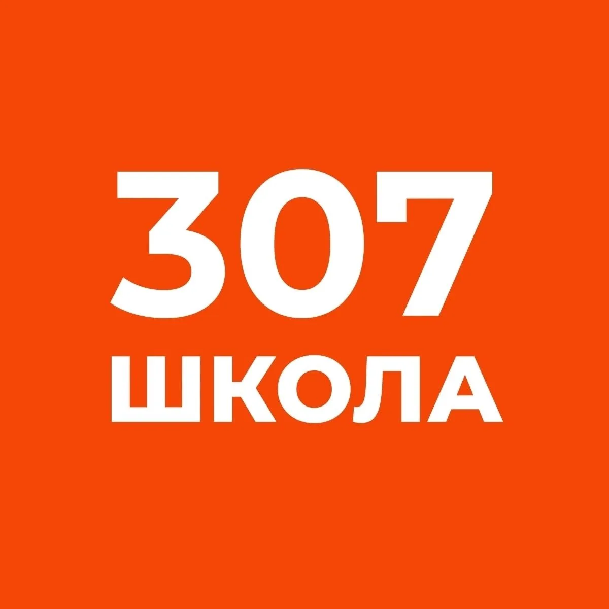 Официальный канал ГБОУ Школы № 307 Адмиралтейского района Санкт-Петербурга — канал в мессенджере MAX