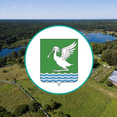 Администрация Селивановского муниципального округа