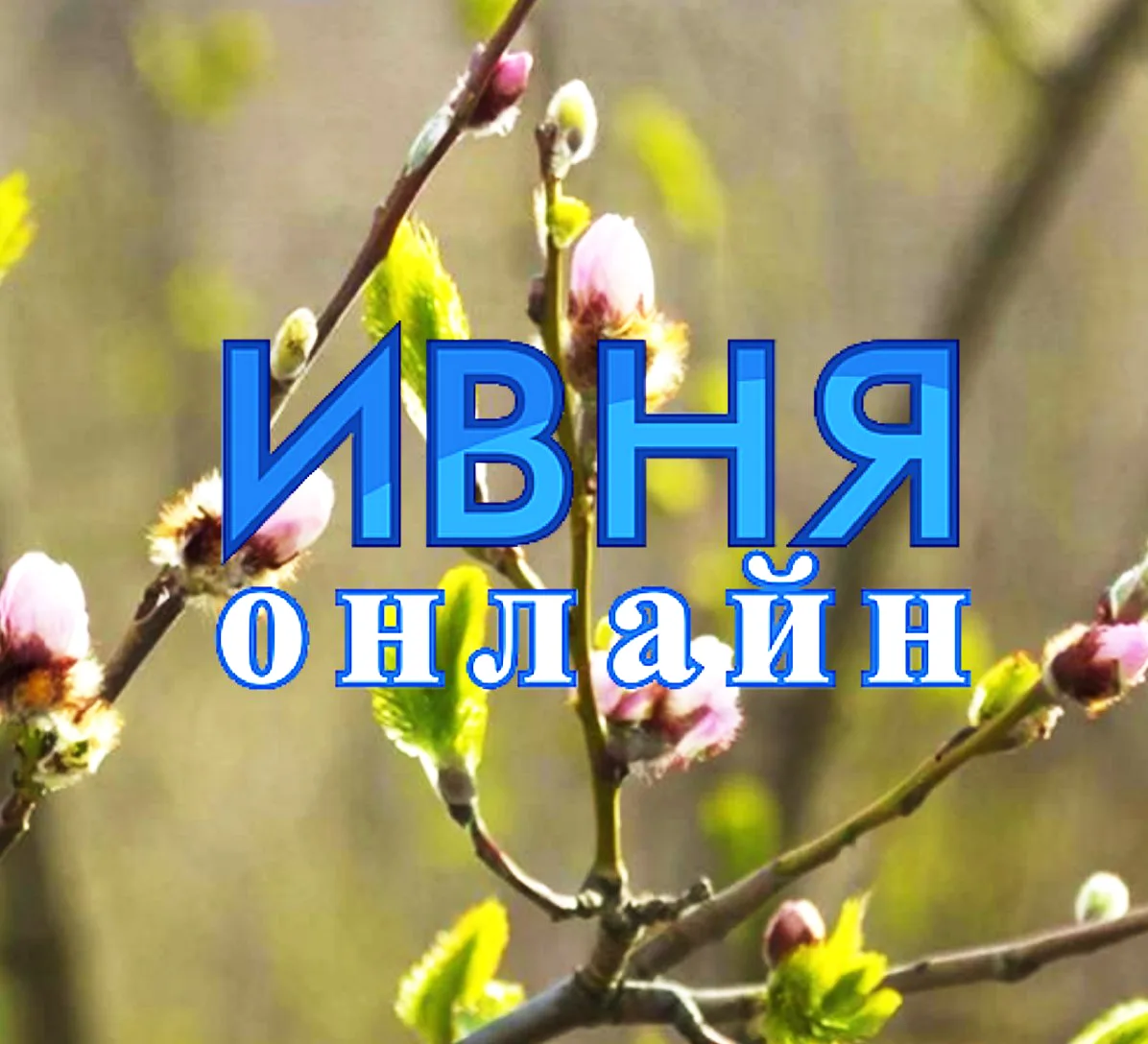 Ивня Онлайн — канал в мессенджере MAX