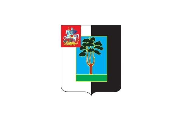КСП городского округа Черноголовка