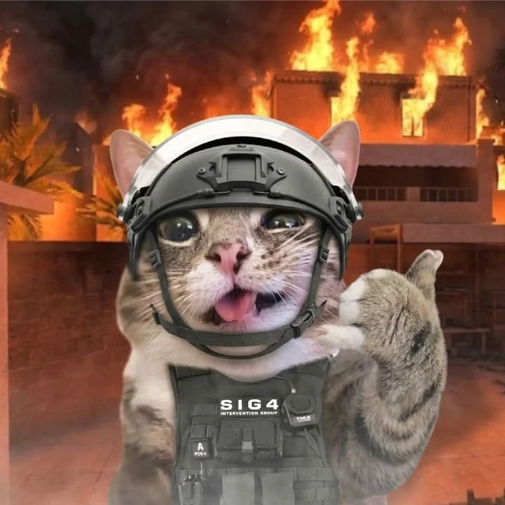 Standoff 2 | Рофлы и Мемы | Стендофф 2