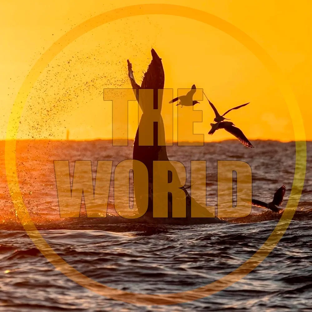 The World | Путешествия факты животные море природа горы туры планета земля самые красивые места на планете океан пляж travel туризм турвизор Россия про путешествия сочи отдых кудапоехать
