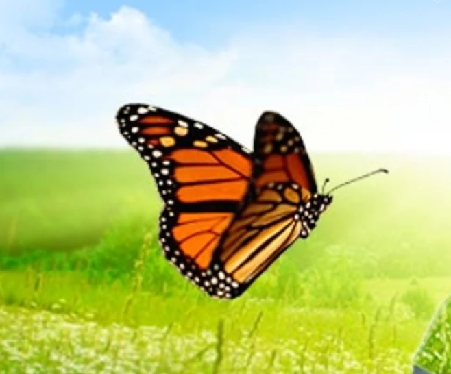 МБОУ Центр ПМСС