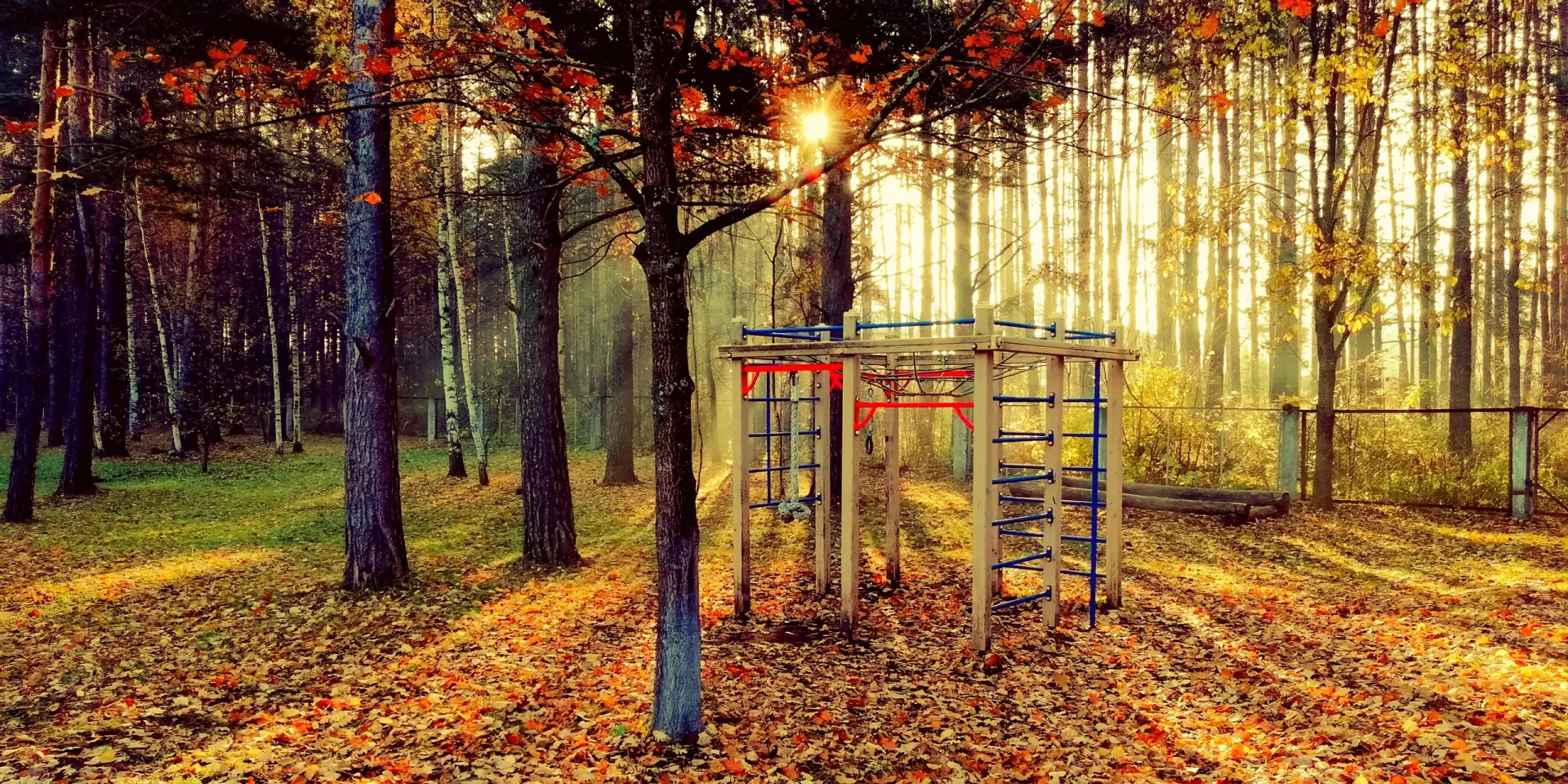 МОУ "Санаторно-лесная школа им. В.И.Шарова"