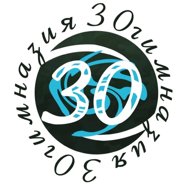 Курган Гимназия 30