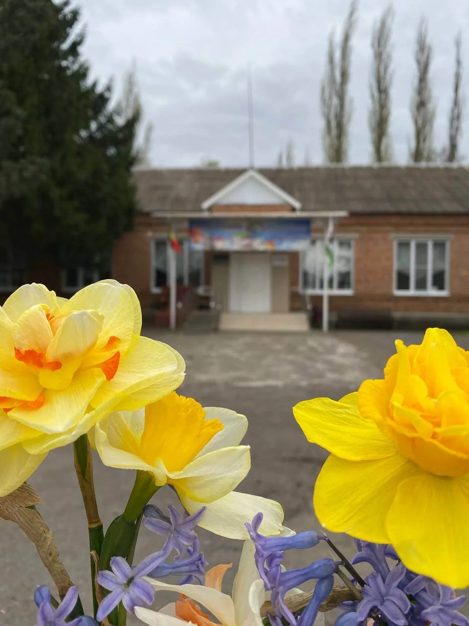 МБОУ Михайловская СОШ № 15