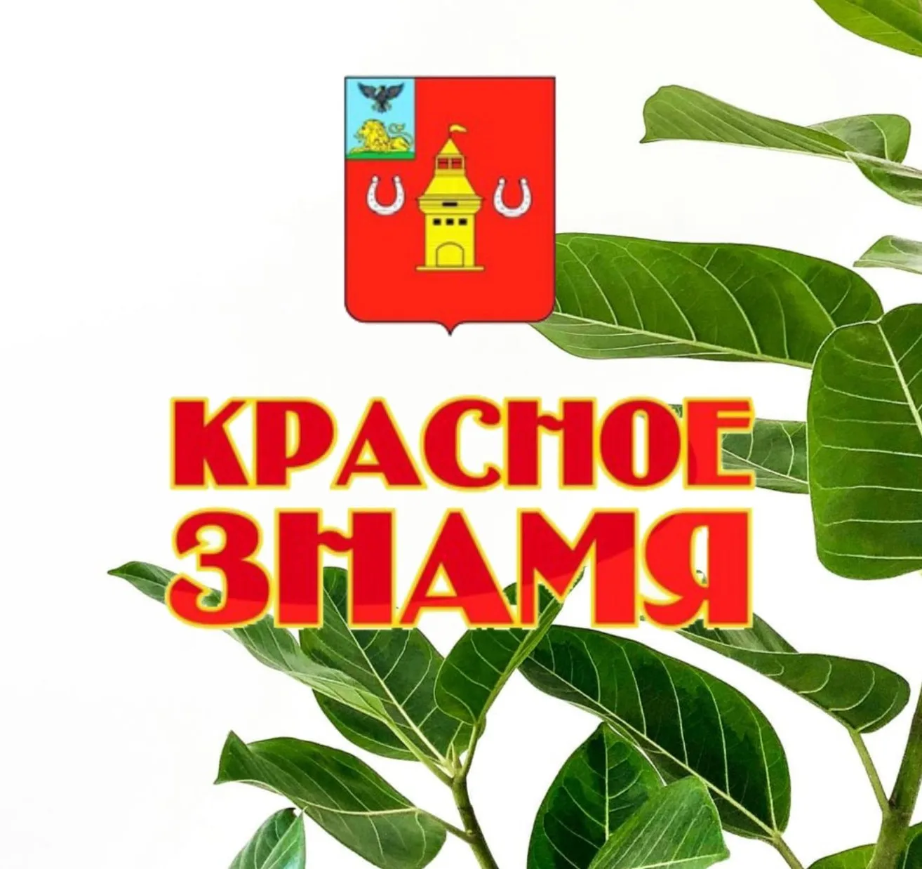 Красное знамя 31|Шебекино — канал в мессенджере MAX