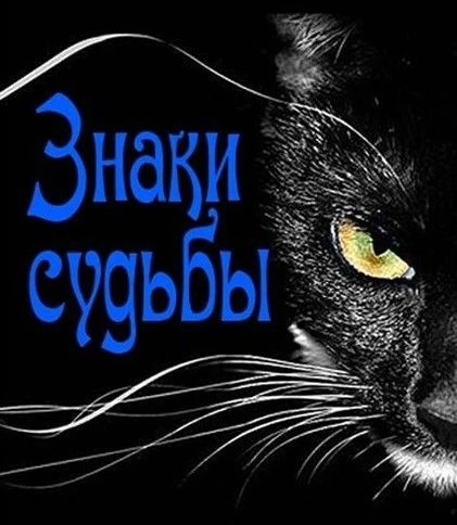 "ЗНАКИ СУДЬБЫ" — канал в мессенджере MAX