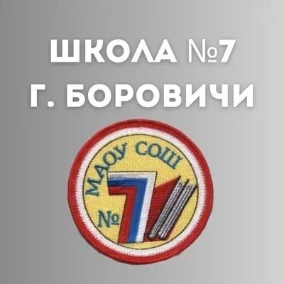 МАОУ СОШ №7 г. Боровичи — канал в мессенджере MAX