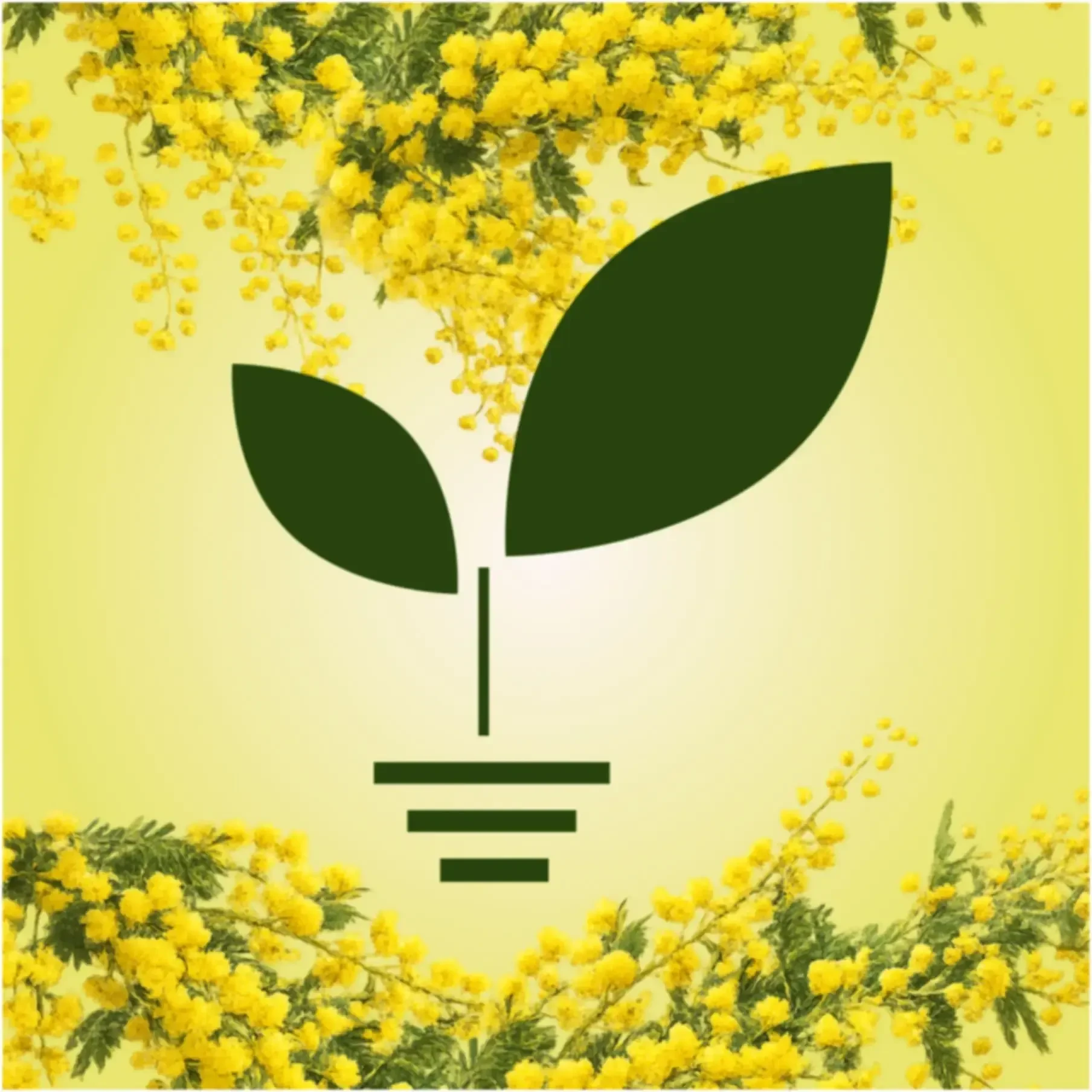 РОСТОК РАССАДА