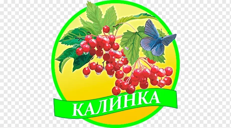 *КАНАЛ* МАДОУ МО г. Краснодар "Детский сад 184"