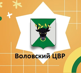 МКОУ ДО "Воловский ЦВР"