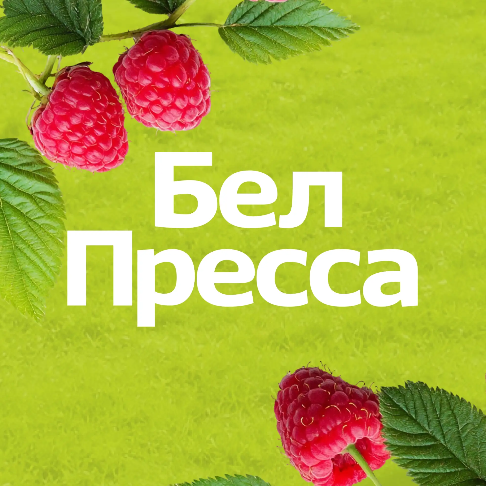 БелПресса | Новости Белгорода и области
