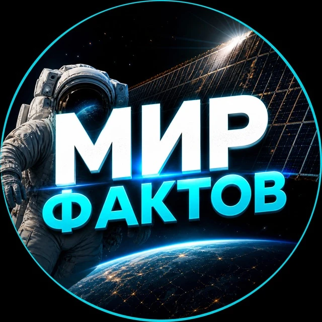 Видео с животными 🐶 | Пушистики | Веселые Щенки | Милые Питомцы | Кошачьи Истории | Четвероногие Друзья | Кошачий Юмор | Приколы с Собаками | Проделки Котов | Милые Животные