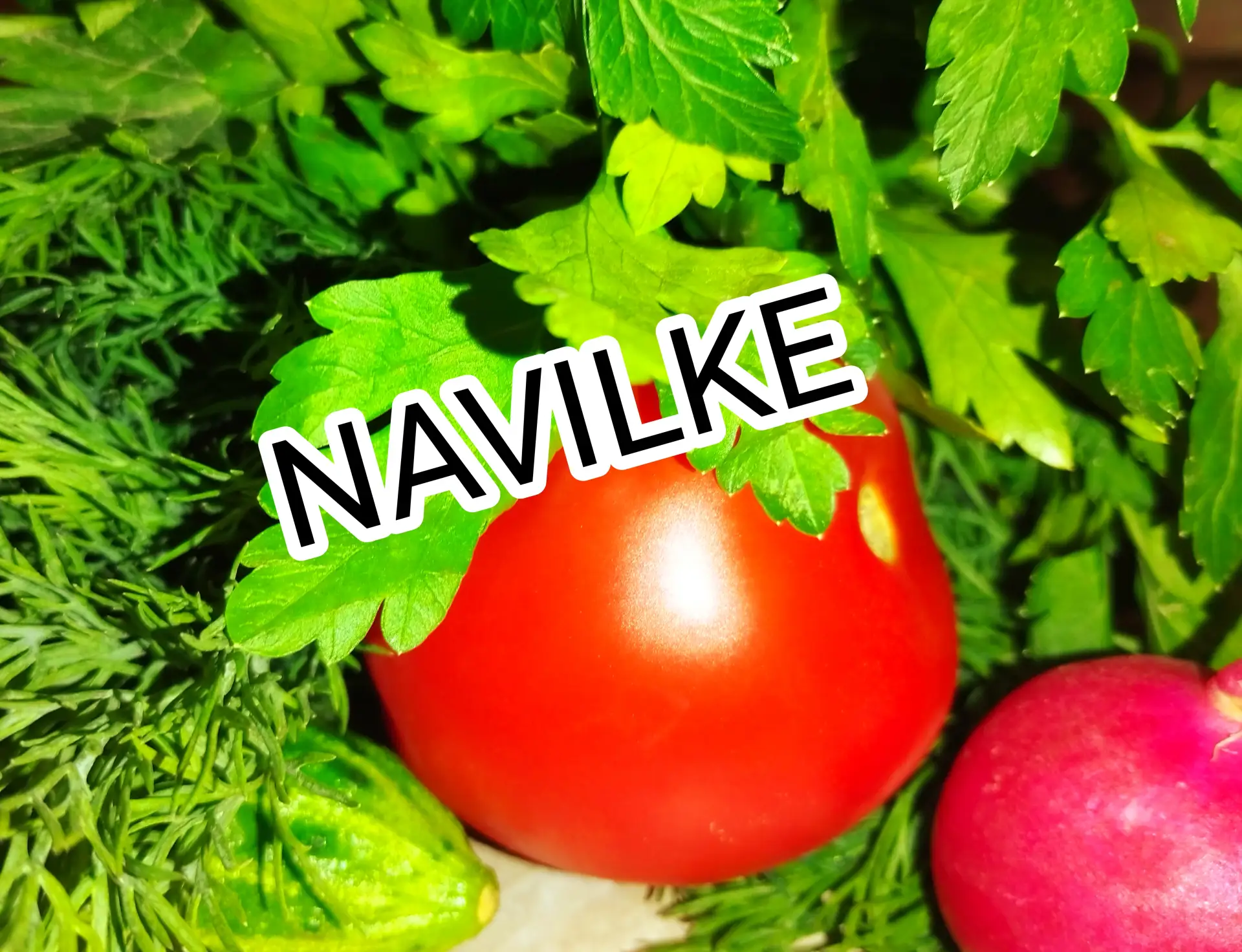 NAVILKE