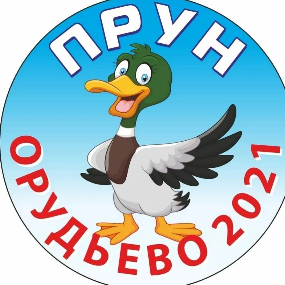 Орудьевский утиный парк.