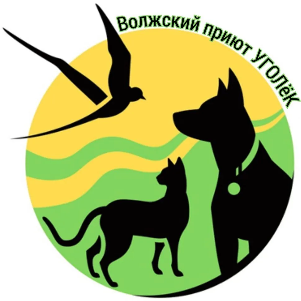 Волжский приют "Уголёк"