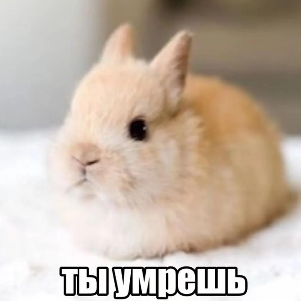 Стандофчик