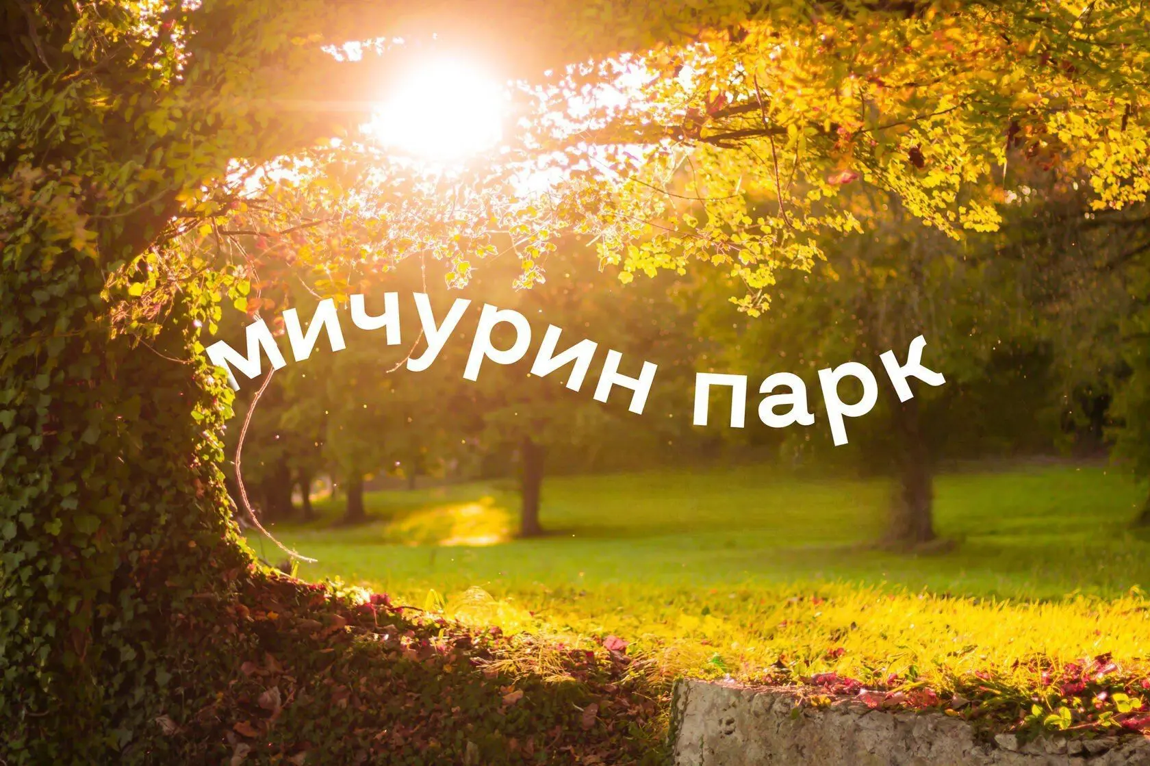 УК Мичурин парк🌲 — канал в мессенджере MAX