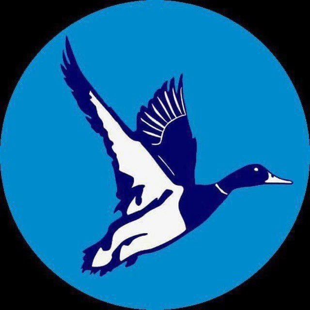 Логотип канала