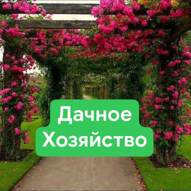 Дачное хозяйство — канал в мессенджере MAX