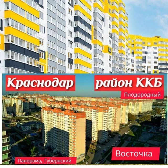 Восточка ККБ Краснодар — канал в мессенджере MAX