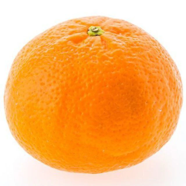 Парк и магазин мандарин 🍊 👍🇷🇺