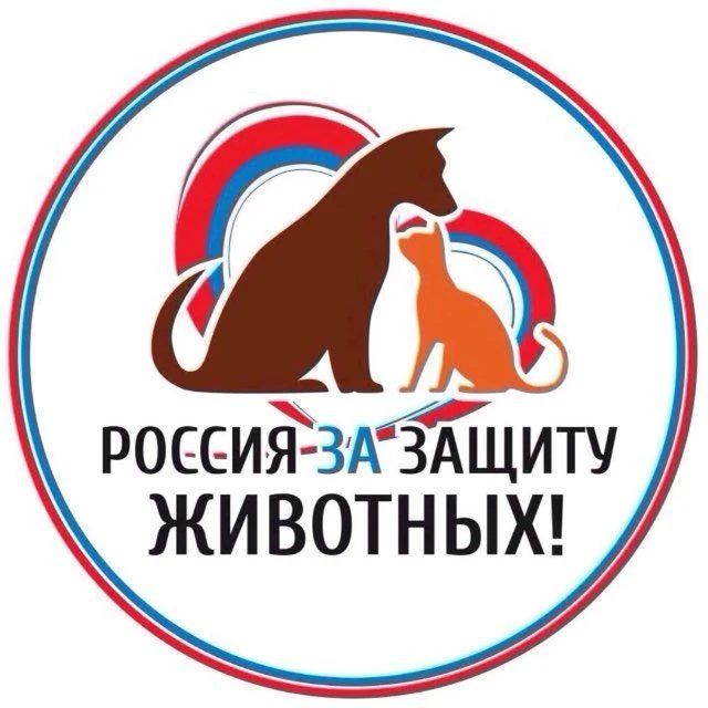 Собаки кошки животные | Сочи Адлер Дагомыс Сириус поиск — канал в мессенджере MAX