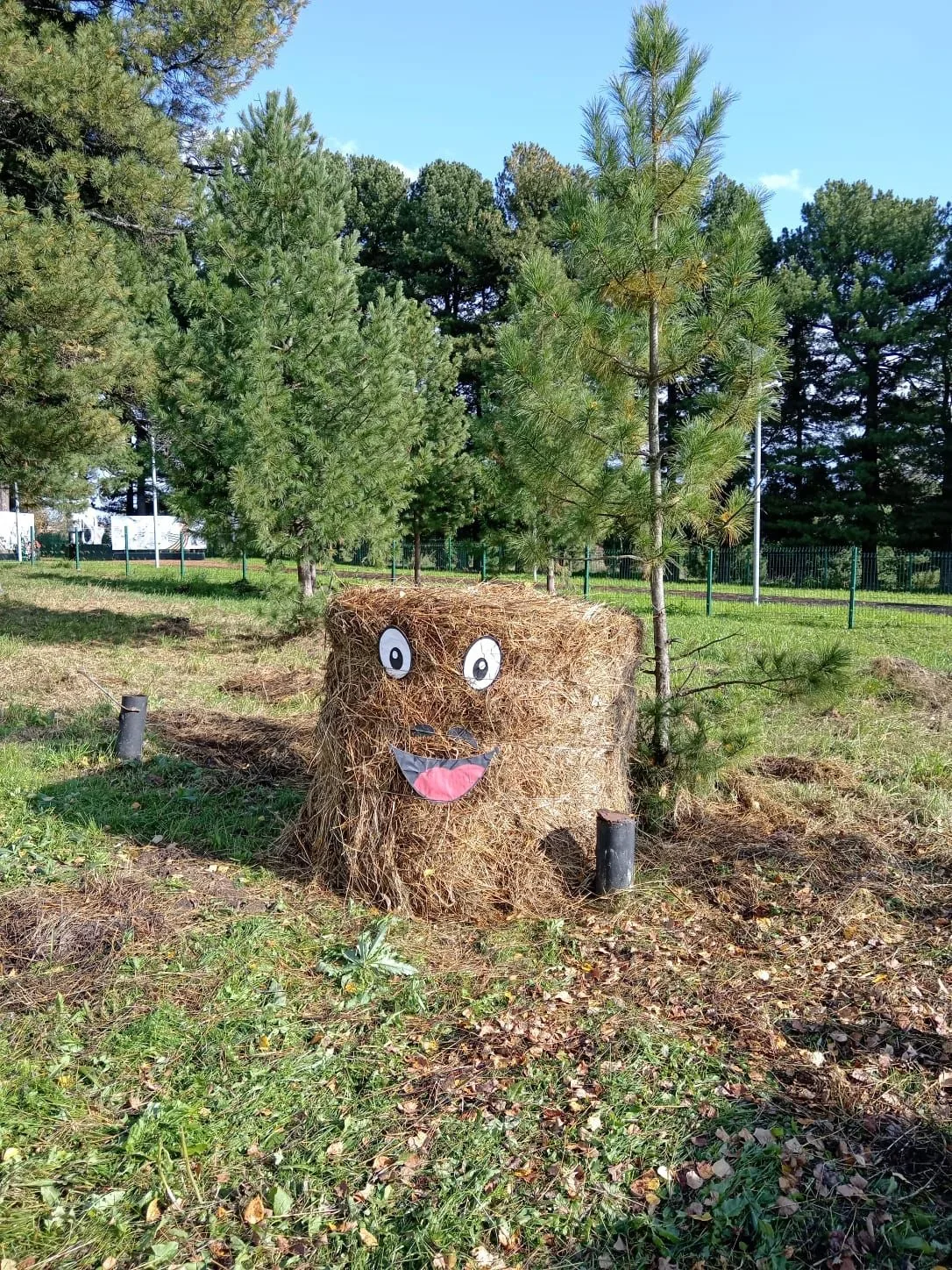 Красноярский территориальный отдел