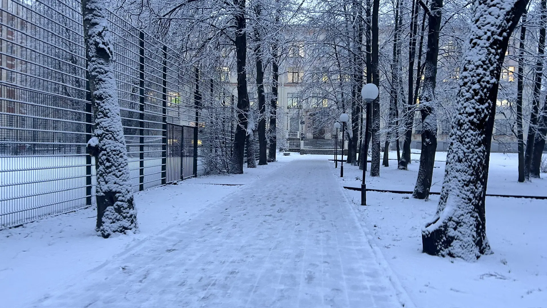 ГБОУ Гимназия №67 Петроградского района Санкт-Петербурга — канал в мессенджере MAX