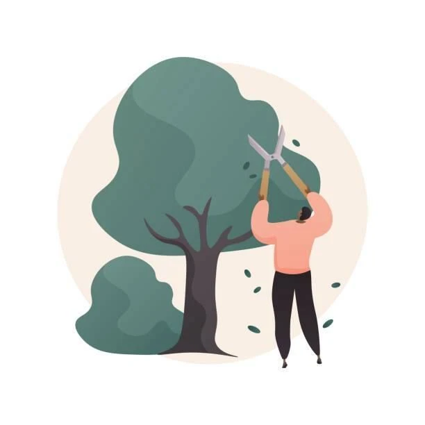 Садовый мастер - Александр Толстунов