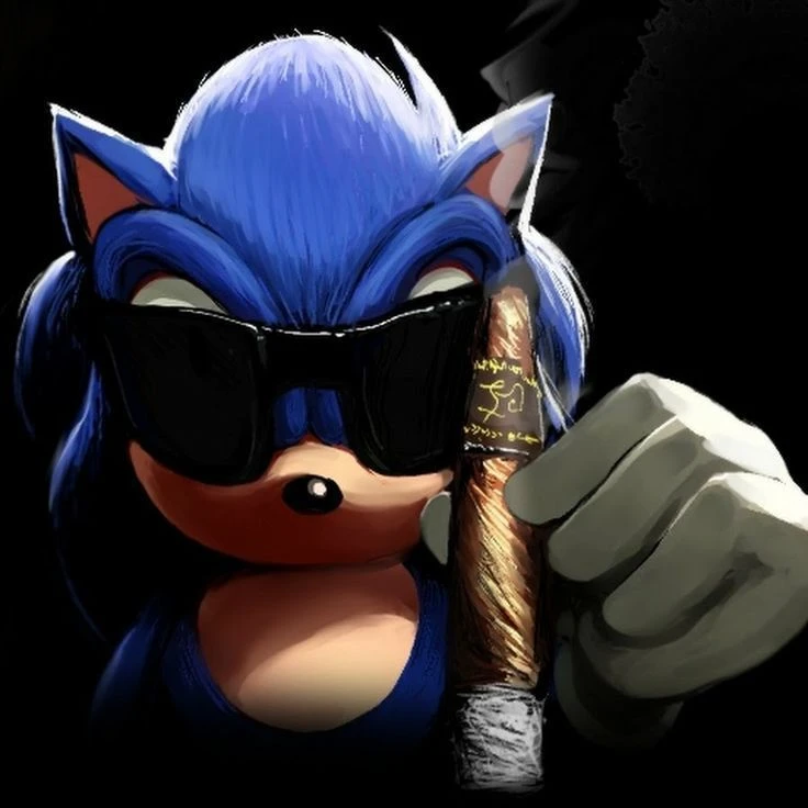 Sonic ExE news — канал в мессенджере MAX