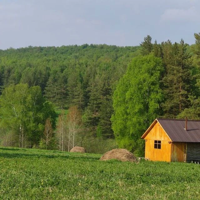 Девушка и Лес 💚 — канал в мессенджере MAX