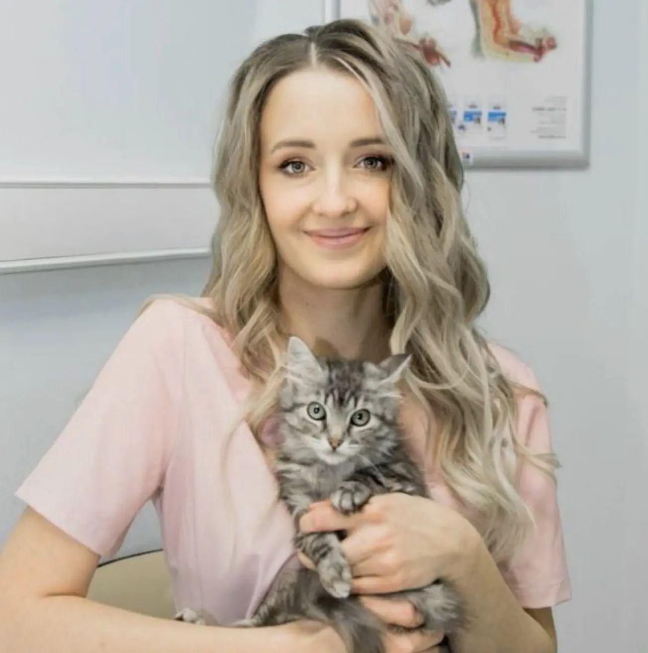 Vet_alisa ветеринарный врач онлайн Аксенова Алиса