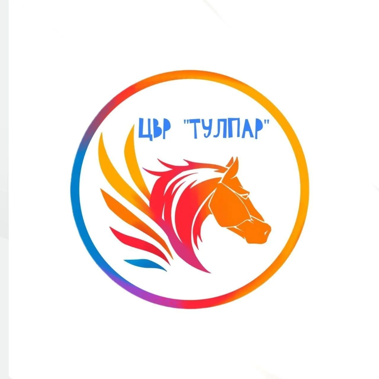 МБУДО «Центр внешкольной работы «ТУЛПАР» Высокогорского муниципального района РТ» — канал в мессенджере MAX