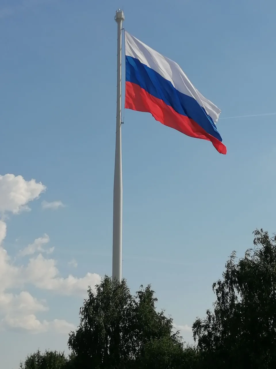 МАОУ г. Жуковки "Лицей №1"