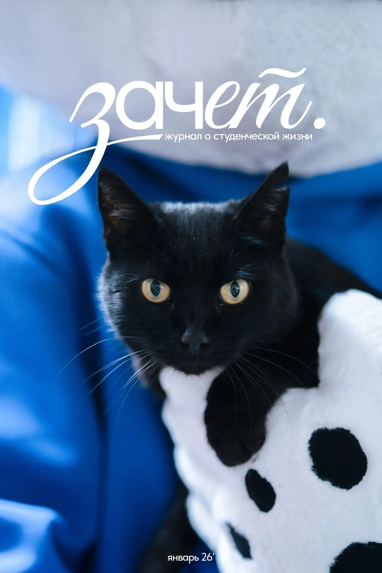 Зачет | Сочинский государственный университет