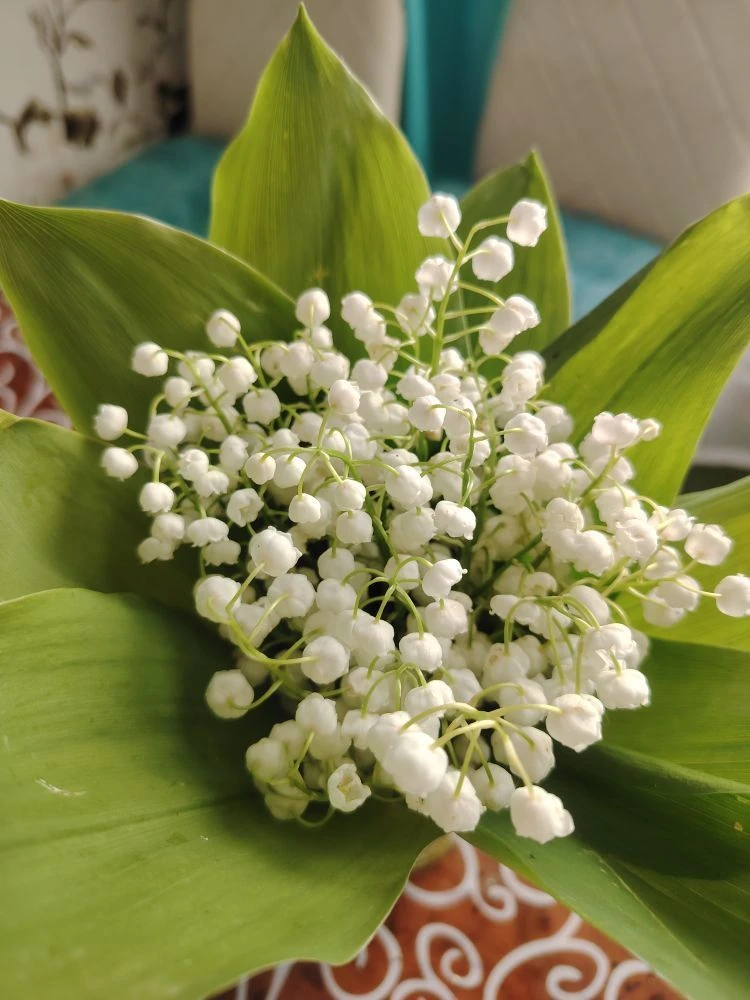 Совет СП Отрадинский сельсовет