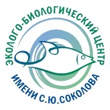 Канал МБУ ДО ЭБЦ