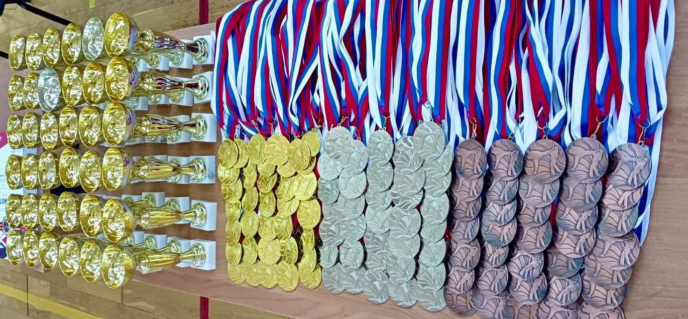 МБУ ДО СШ г. Белый — канал в мессенджере MAX