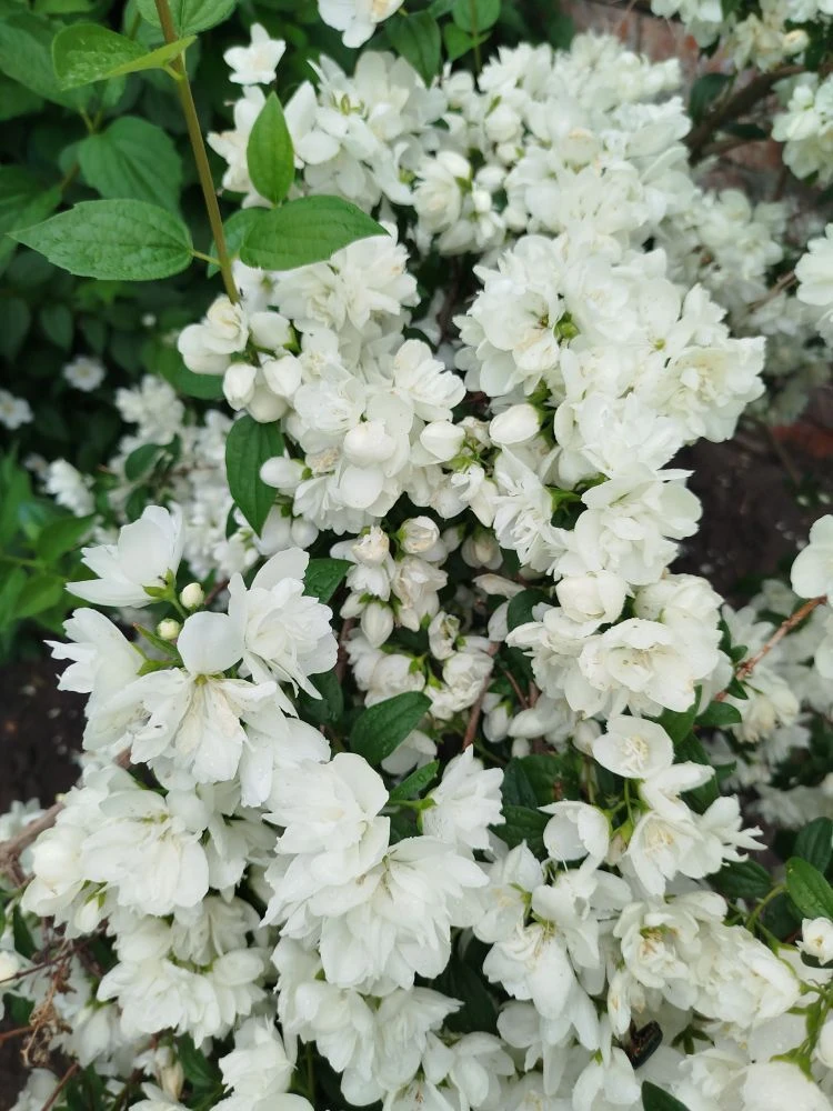 Самара Школа 28 Цыганкова Светлана