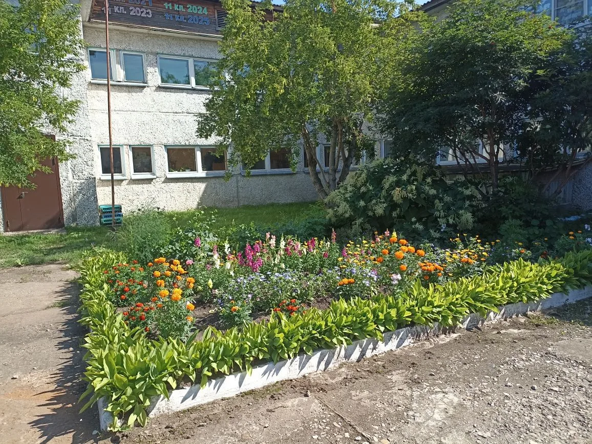 МКОУ "Александровская СОШ"