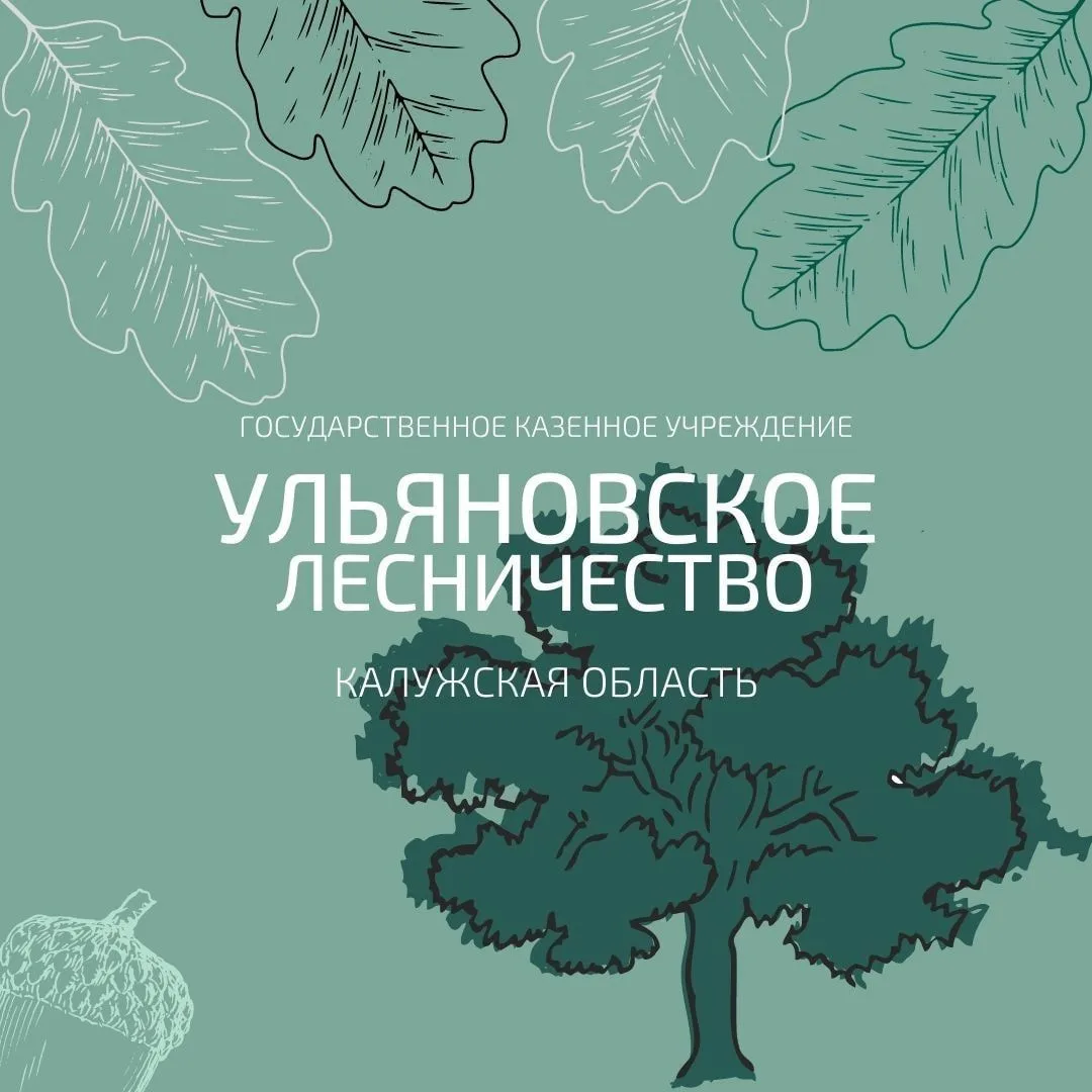 ГКУ КО "Ульяновское лесничество"