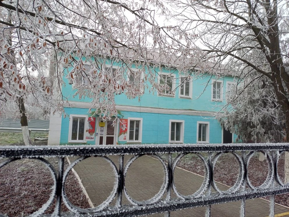 МБОУ ДО "Токарёвский ДДТ"