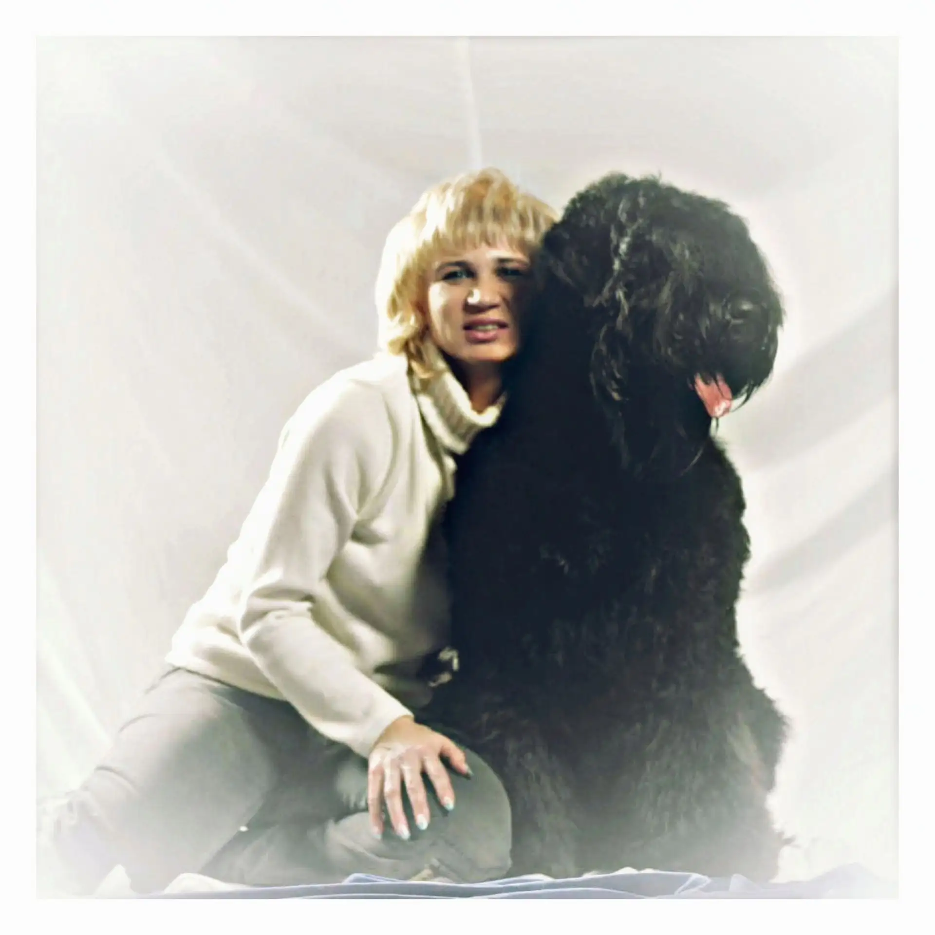 groomer24 Стрижка собак