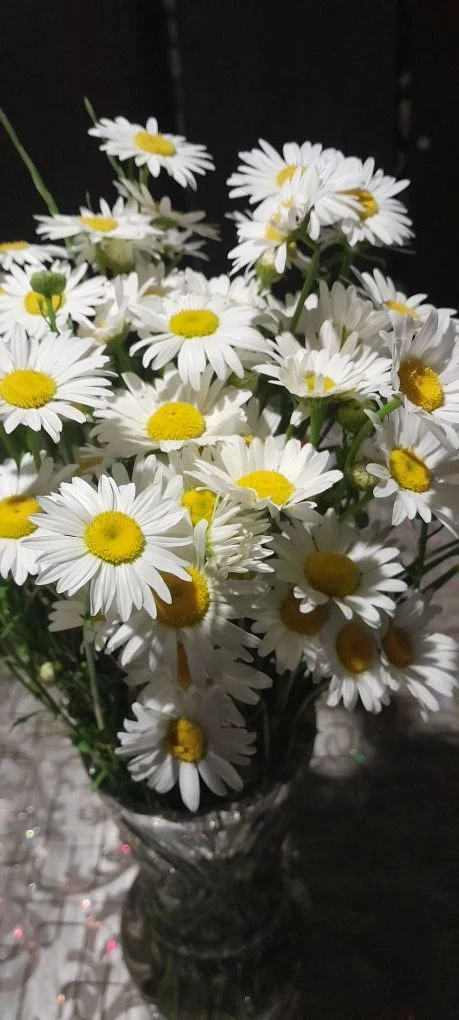 МКОУ"СОШ АУЛ КЫЗЫЛ-УРУП "