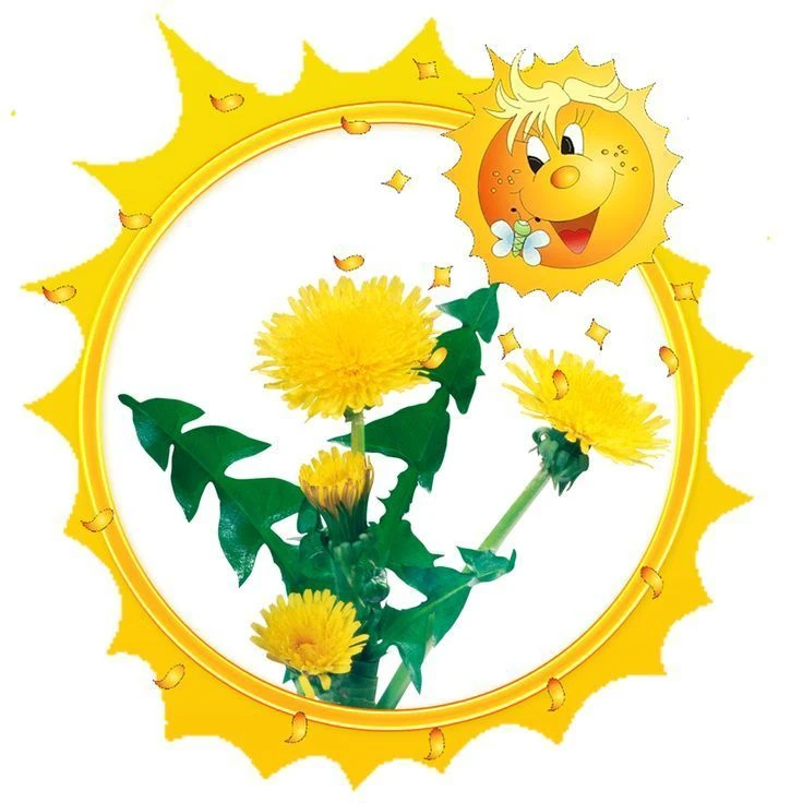 МБДОУ №12 г. Азова