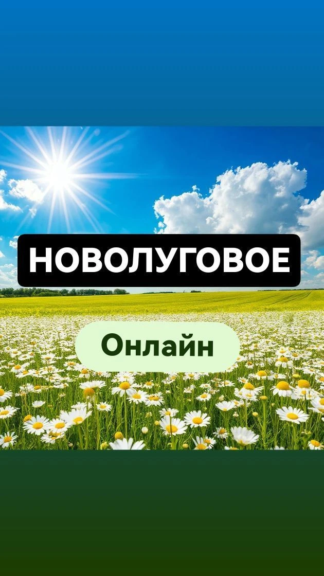 Новолуговое Онлайн — канал в мессенджере MAX